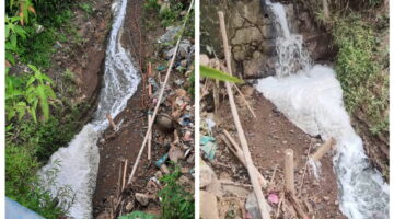 Di Balik Produksi Gondorukem dan Terpentin, PT Rosin Internasional Diduga Menyisakan Jejak Pencemaran